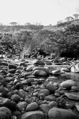 Emil Haase Photography