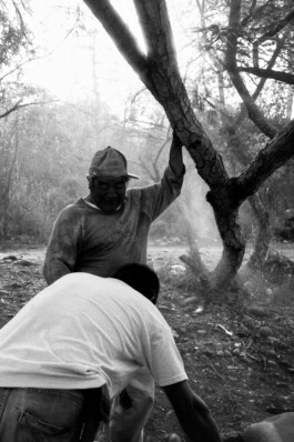 Emil Haase Photography