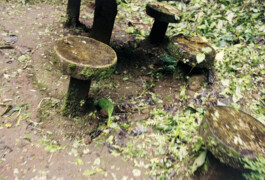 Emil Haase Photography