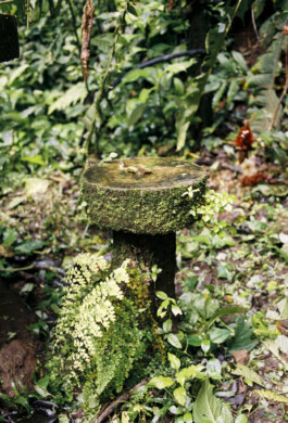 Emil Haase Photography