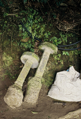 Emil Haase Photography