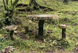 Emil Haase Photography