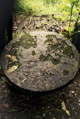 Emil Haase Photography