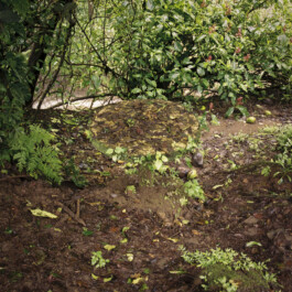 Emil Haase Photography