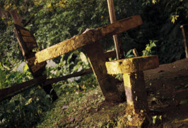 Emil Haase Photography