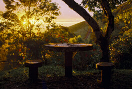 Emil Haase Photography