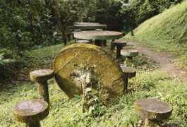 Emil Haase Photography